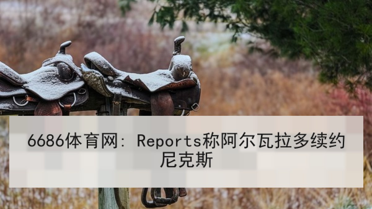 6686体育网: Reports称阿尔瓦拉多续约尼克斯 6686体育网: Reports称阿尔瓦拉多续约尼克斯
